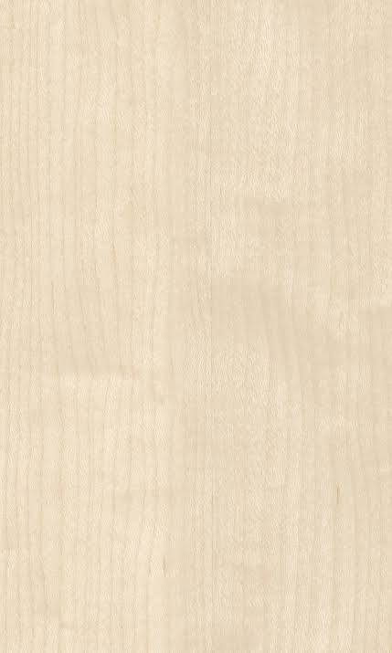 Maple wood grain